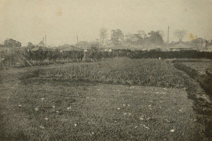 Nishigahara_kofun