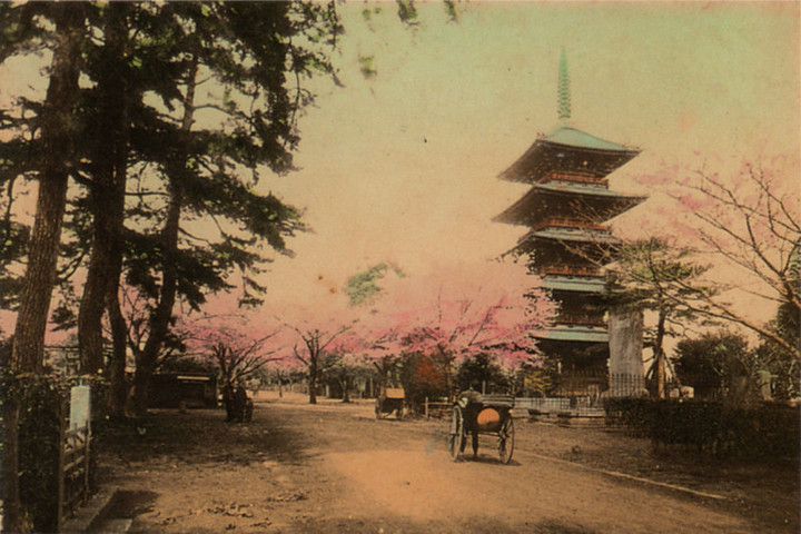 Yanaka_51