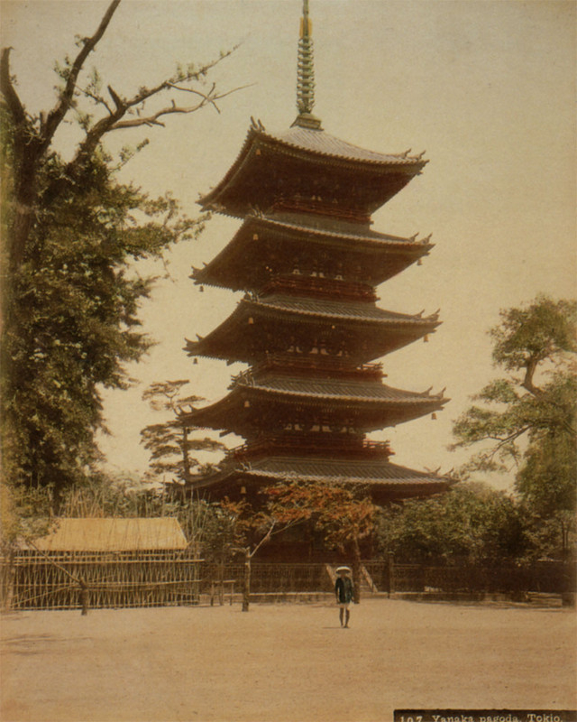 Yanaka_52