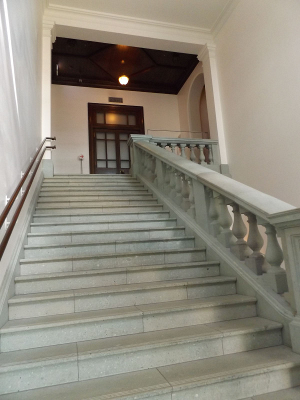 Chiyoda_mitsubishi17b