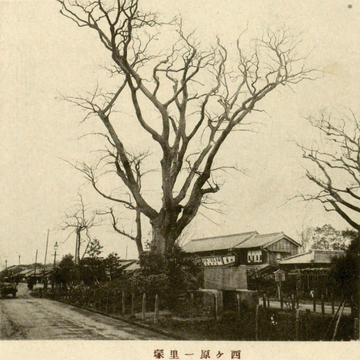 Nishigahara6
