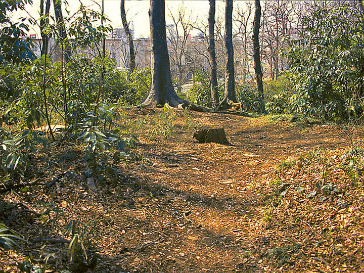 Kawaguchi_koyaba1