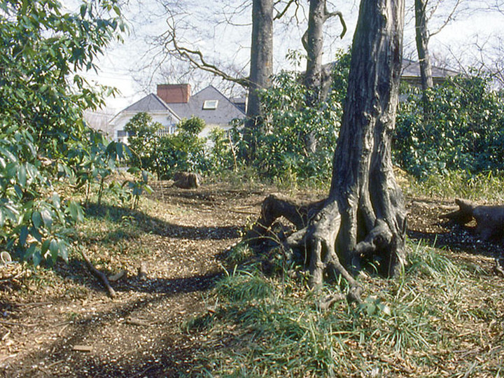 Kawaguchi_koyaba2