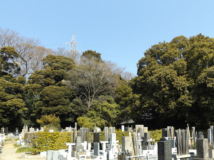 Kawaguchi_takainari1