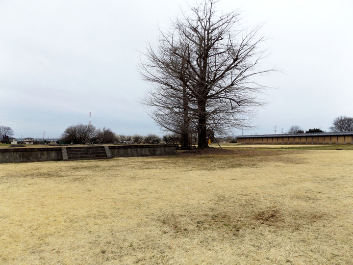 Maebashi_kokubunji23