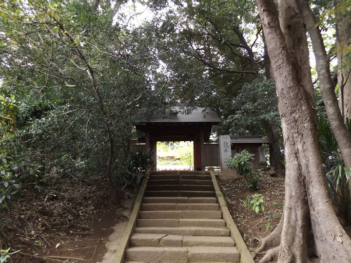 Kawaguchi_yakuo1