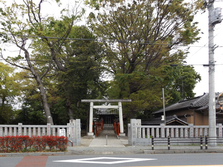 Adachi_hikawa1