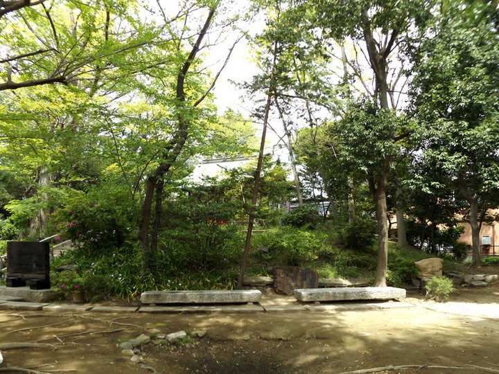 Adachi_iriya5