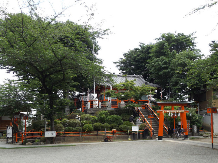 Warabi_tsukagoshi11