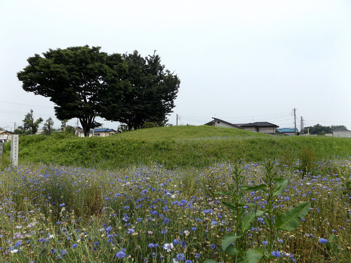 Maebashi_kinkanzuka1