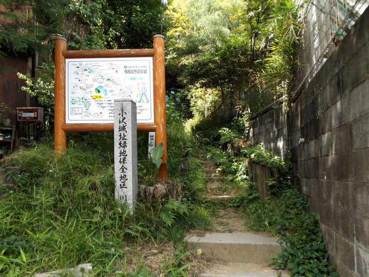 Kawasaki_ozawa01