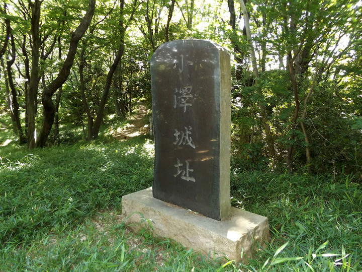 Kawasaki_ozawa05