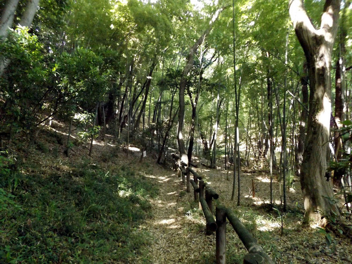 Kawasaki_ozawa19