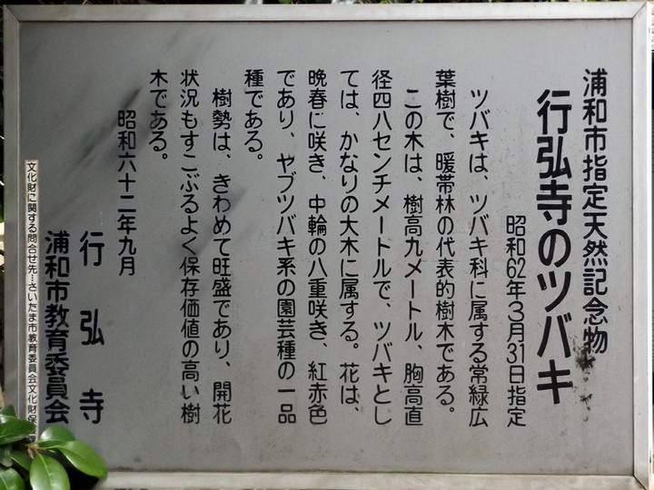 Urawa_gyokou9