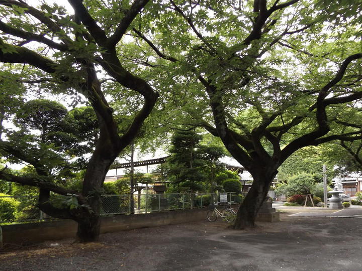 Urawa_syukoin3