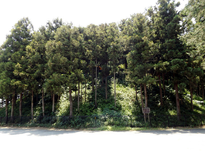 Higashi_shogun3