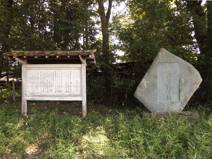 Higashi_shogun8