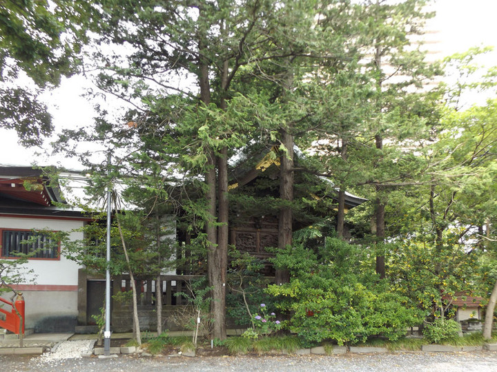 Koshigaya_katori3_2 Koshigaya_katori3_2
