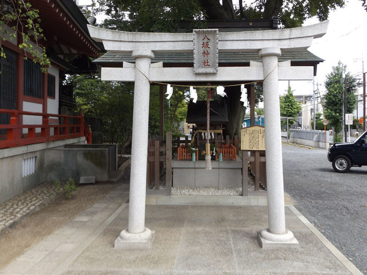 Koshigaya_katori9 Koshigaya_katori9