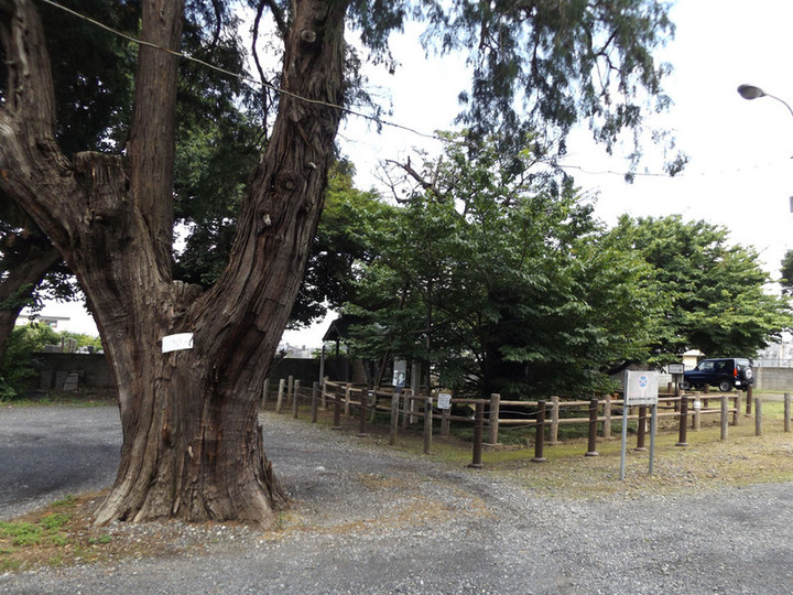 Shiki_shokatsu12