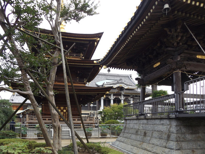 Warabi_sangaku79 Warabi_sangaku79