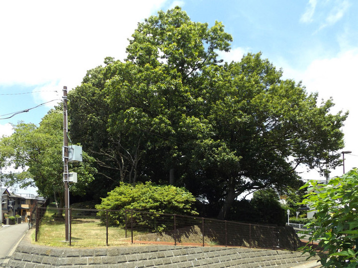 Akibayama51
