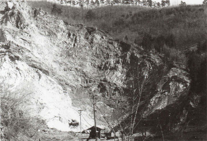 Kaiya81