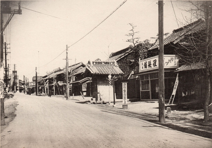 Hatogaya81