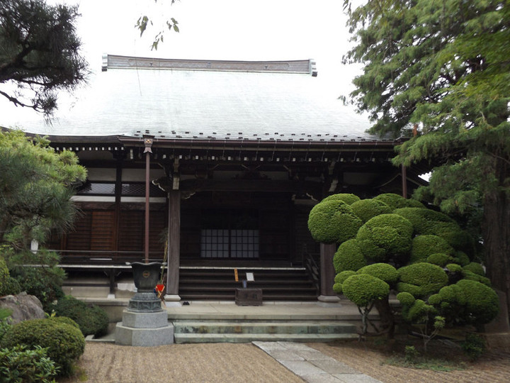 Kawasaki_tama21