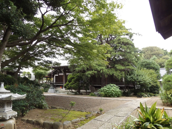 Kawasaki_tama22