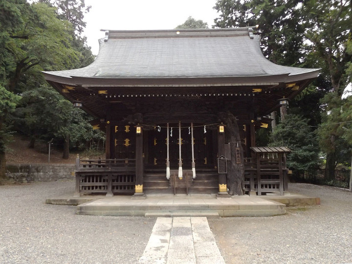 Kawasaki_tama43