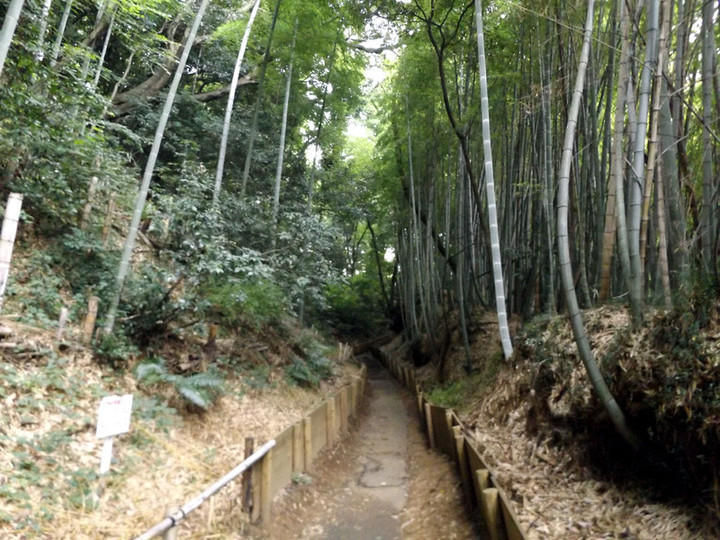 Kawasaki_tama61