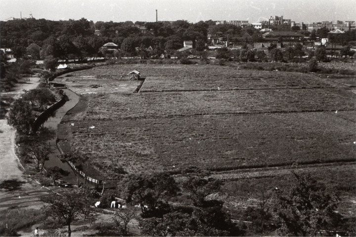 Shinobazu1946