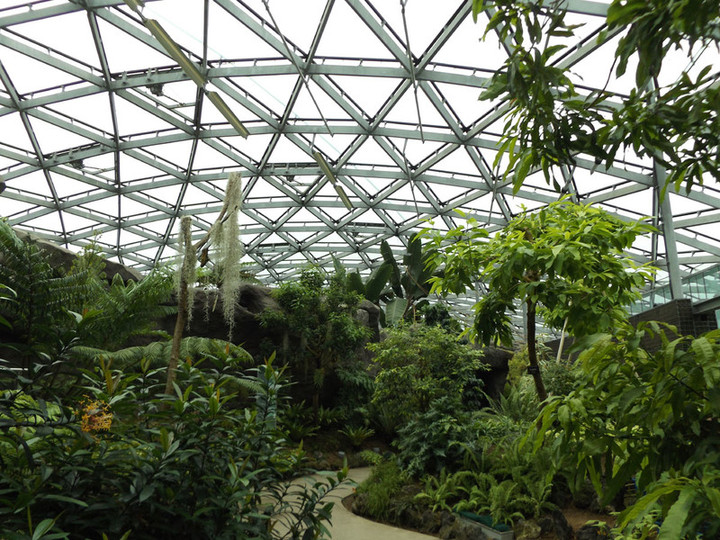 Shinjyukugyoen35