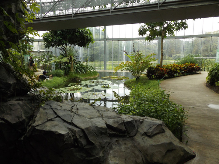 Shinjyukugyoen39