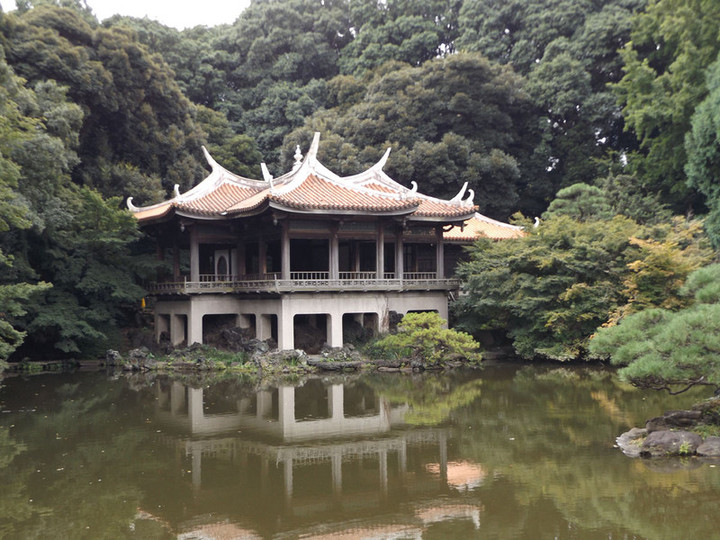 Shinjyukugyoen50