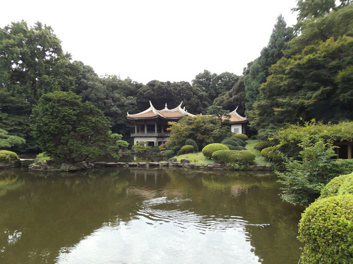 Shinjyukugyoen51