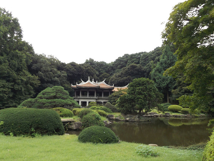 Shinjyukugyoen53