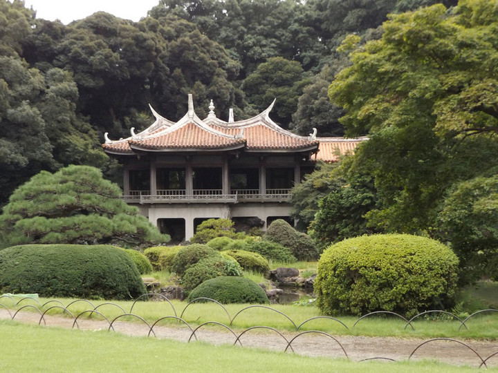 Shinjyukugyoen54