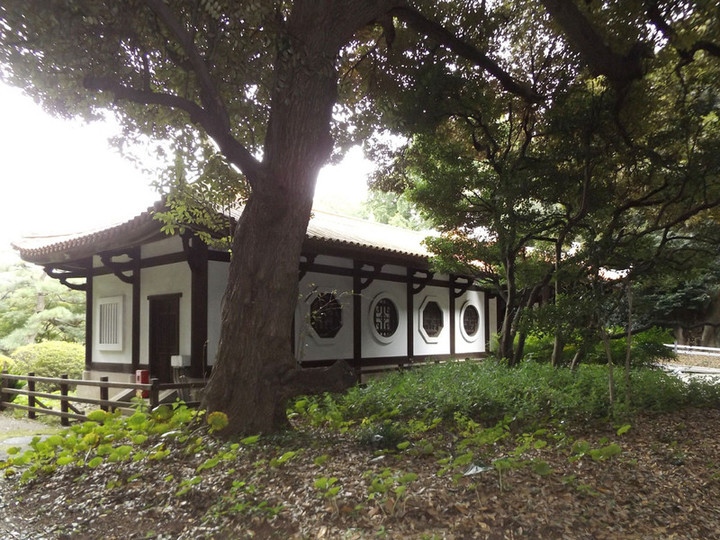 Shinjyukugyoen56