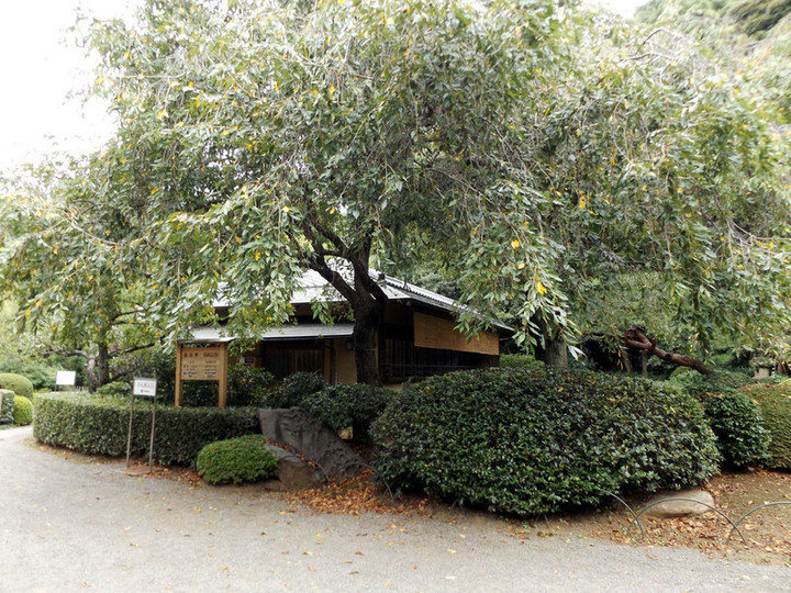 Shinjyukugyoen73