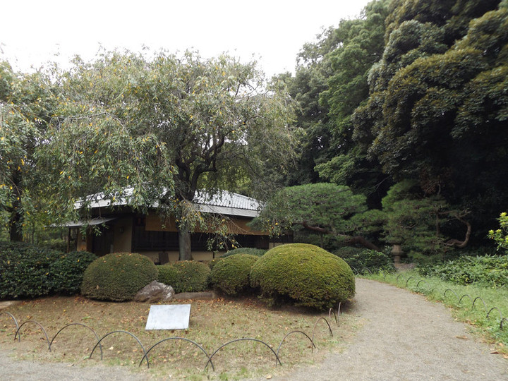 Shinjyukugyoen74