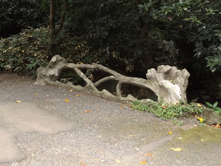 Shinjyukugyoen81