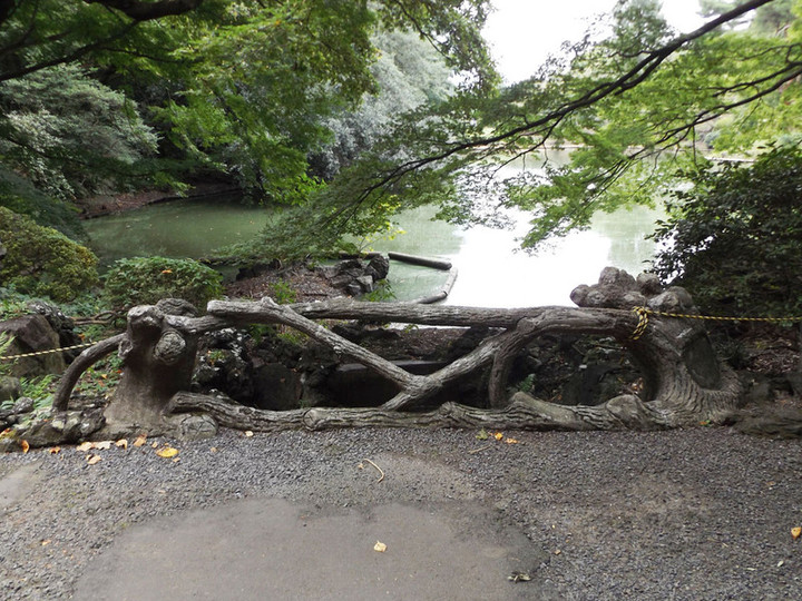 Shinjyukugyoen82