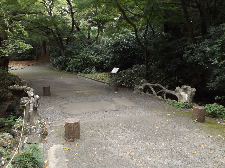 Shinjyukugyoen83