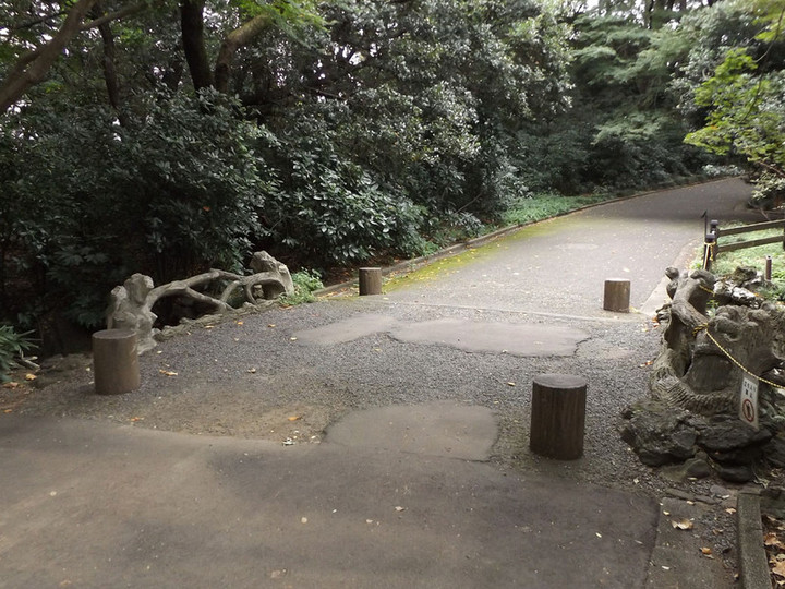 Shinjyukugyoen84