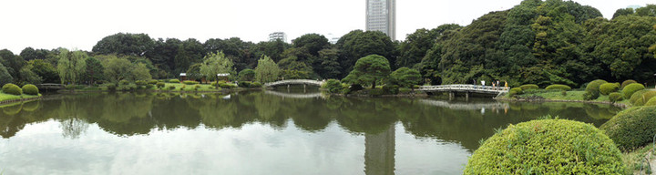 Shinjyukugyoen90