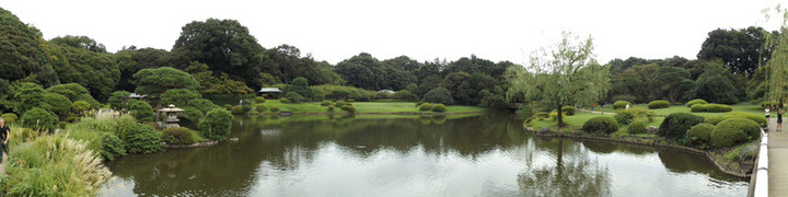 Shinjyukugyoen91