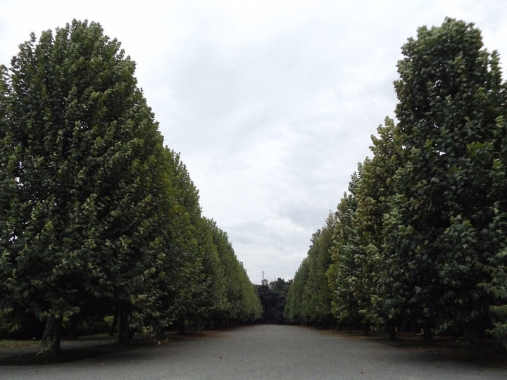 Shinjyukugyoen93