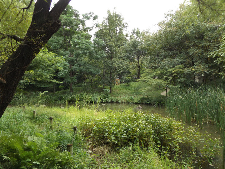 Shinjyukugyoen96